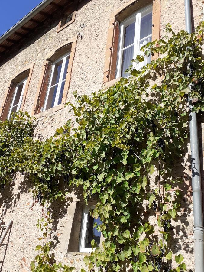 La Grange Aux Oiseaux Apartamento Arnaville Exterior foto